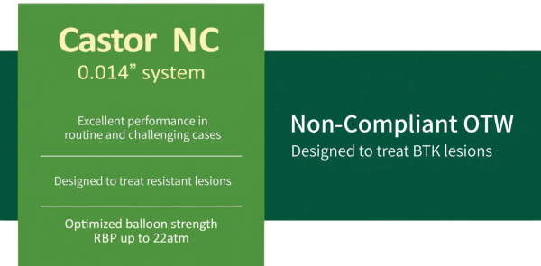 Castor NC